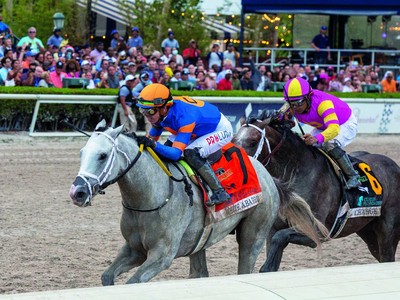 Pegasus World Cup Battle Set To Ignite Image 1