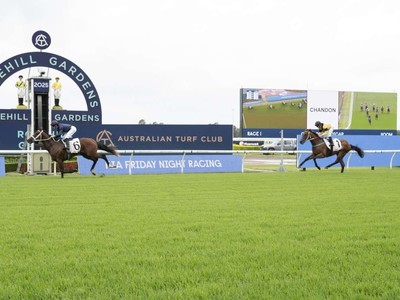 Rosehill Sensation Signals Slipper Intent Image 1