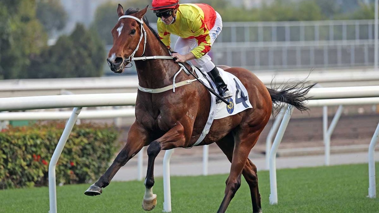 Hong Kong Septet Set For Dubai Assault Image 1