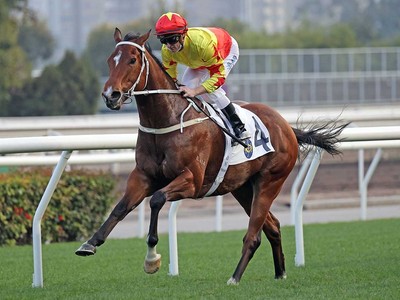 Hong Kong Septet Set For Dubai Assault Image 1