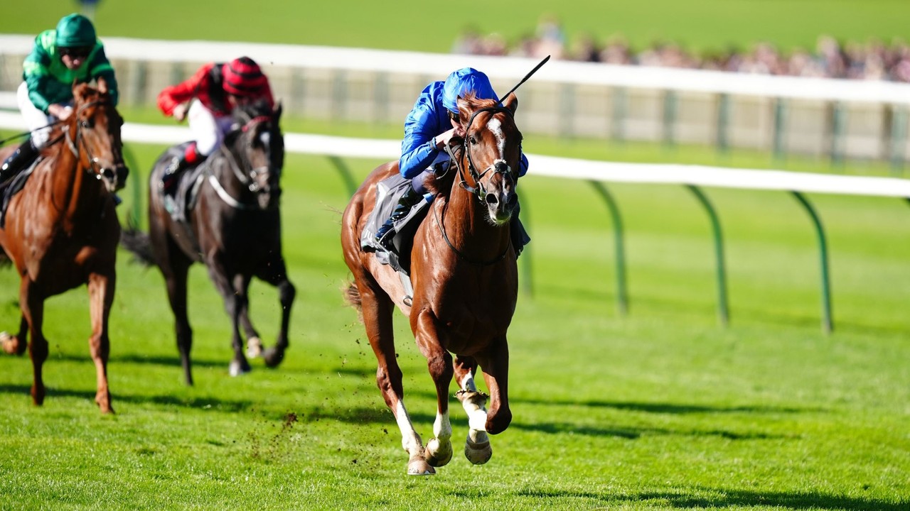 Shadow Of Light Tops European Two-Year-Old Charts Image 1