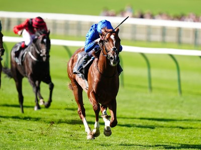 Shadow Of Light Tops European Two-Year-Old Charts Image 1