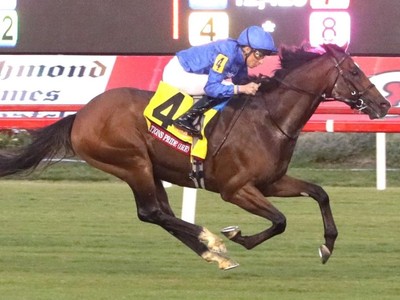 Nations Pride Seeking Pegasus Glory At Gulfstream Image 1