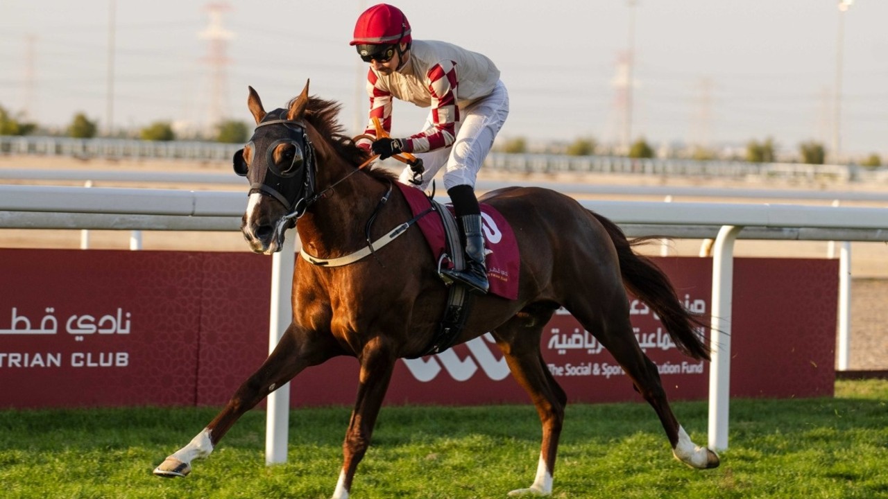 Maiden Winner Dominates Al Judhay Feature Image 1