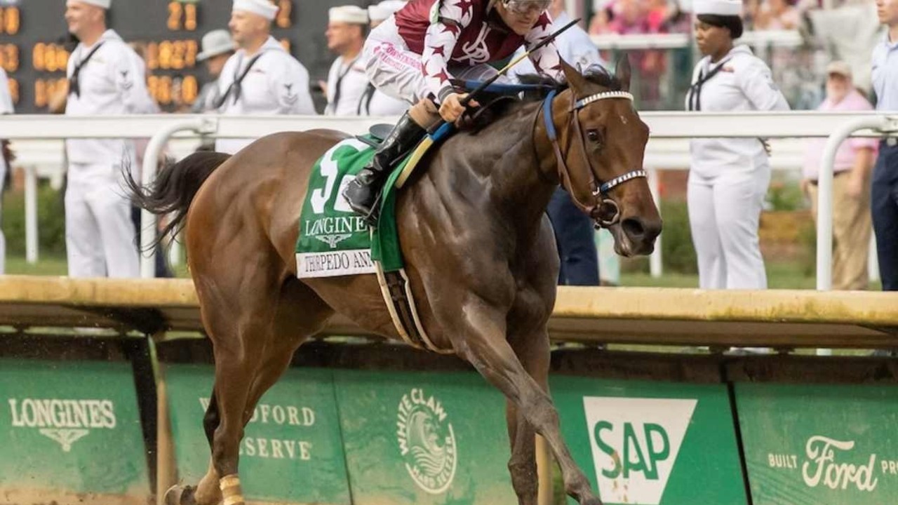 Eclipse Awards: Thorpedo Anna Storms To Horse Of The Year Image 1