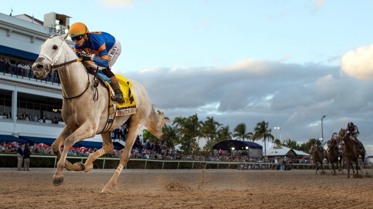 Pegasus World Cup Invitational (Gr.1)2025 Image 1