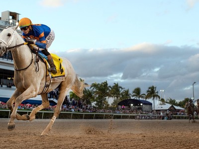 Pegasus World Cup Invitational (Gr.1)2025 Image 1