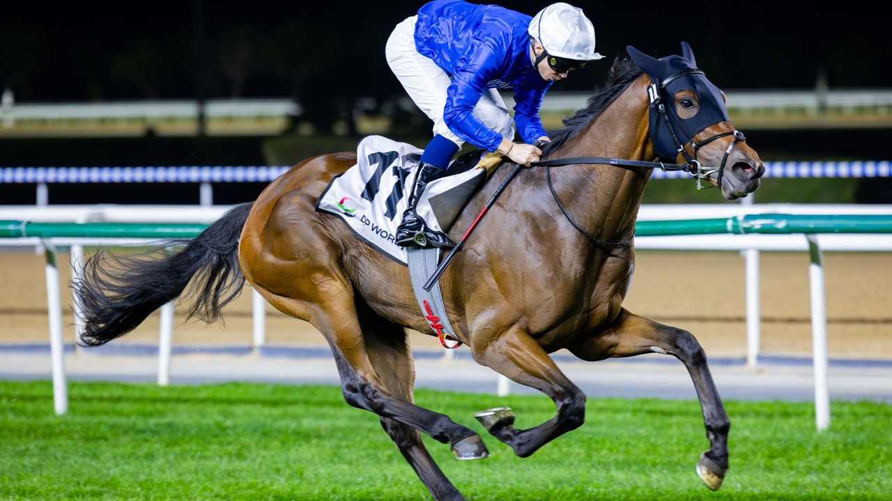 Godolphin Ace Ready For Pattern-Race Challenge Image 1