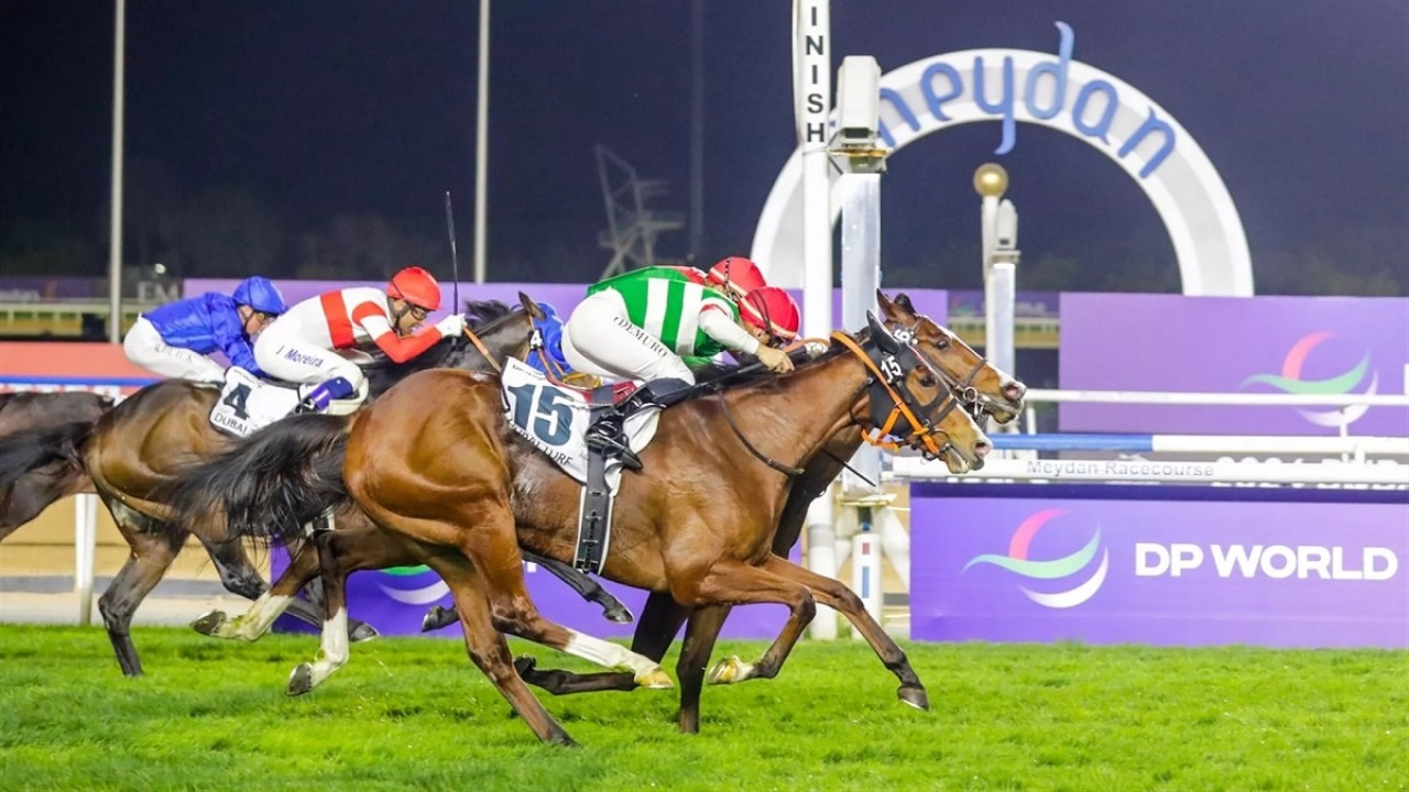 Dirt Star Facteur Cheval Targets Saudi Riches Image 1