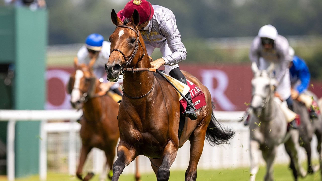 Racing Glory: Al Ghadeer's Rise Image 1