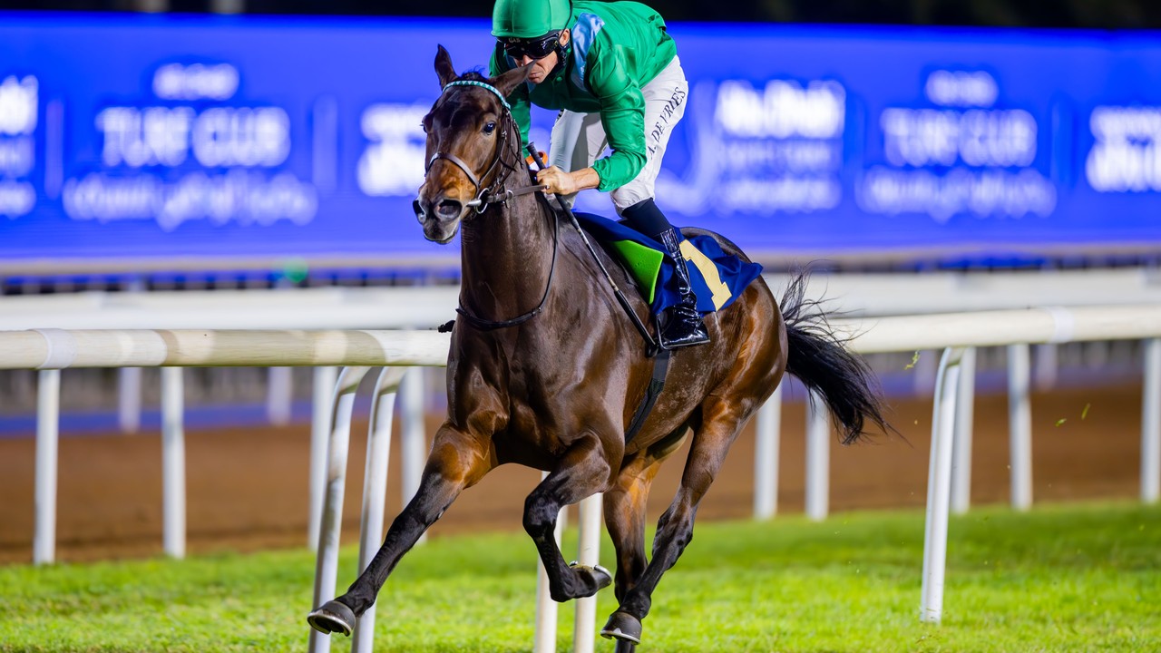 Unbeaten Hm Alchahine Takes Perfect Record To Qatar’s Gr.1 ... Image 1