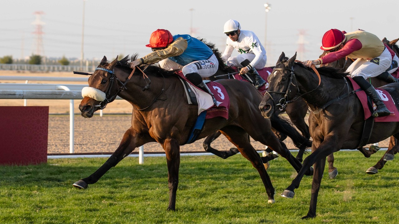 Double Cup Glory At Al Uqda Meeting Image 1