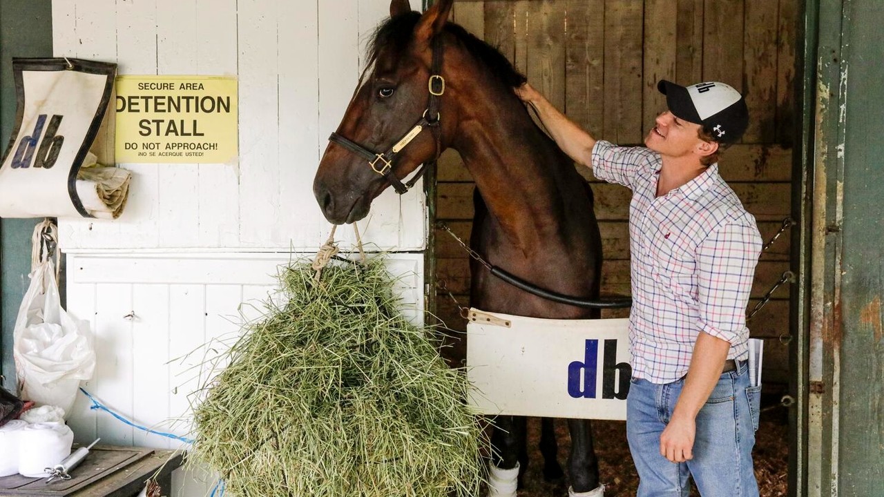 Breeders' Cup Hero Takes Aim At Saudi Riyadh Image 1