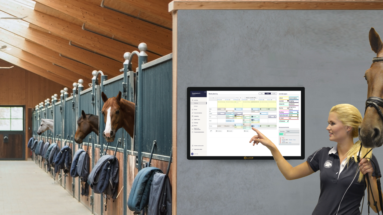 Digital Revolution In Racing Stables: Beyond Basic ... Image 2