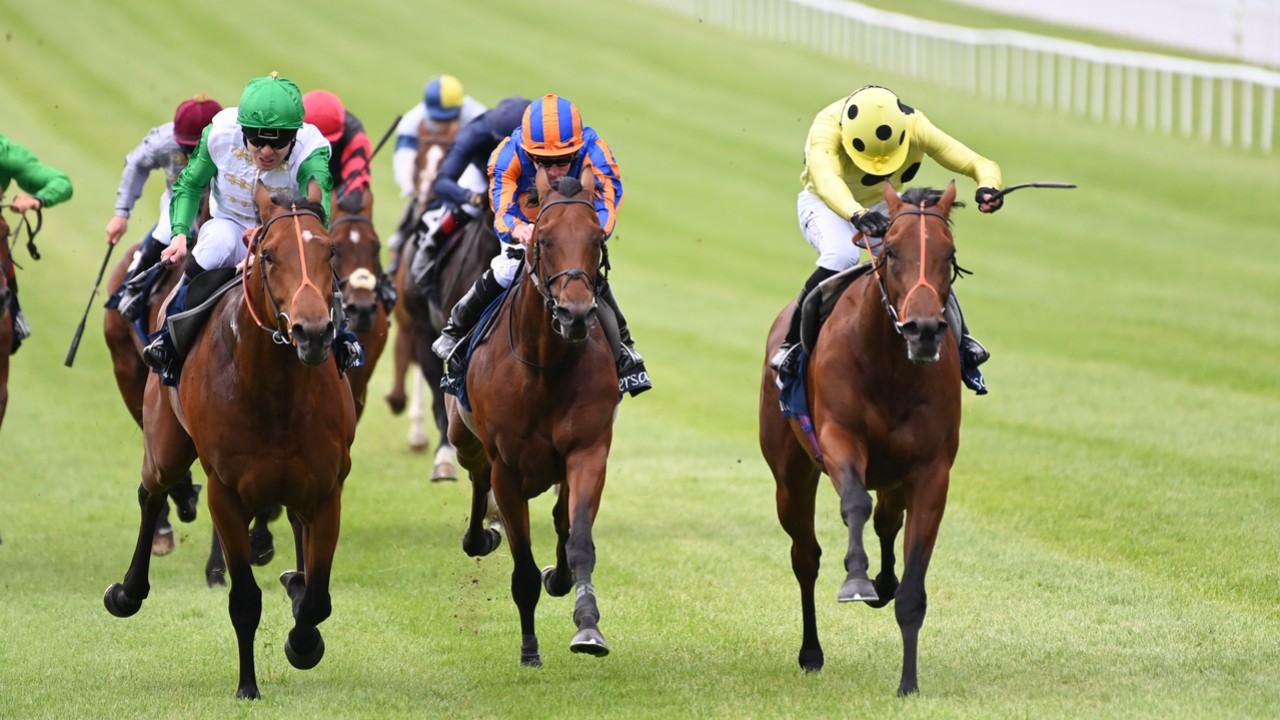 Hannon's Persica Eyes Neom Turf Cup Prize Image 1