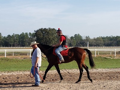 From Breaking Yearlings To Breaking Records: Scott Kintz's ... Image 1