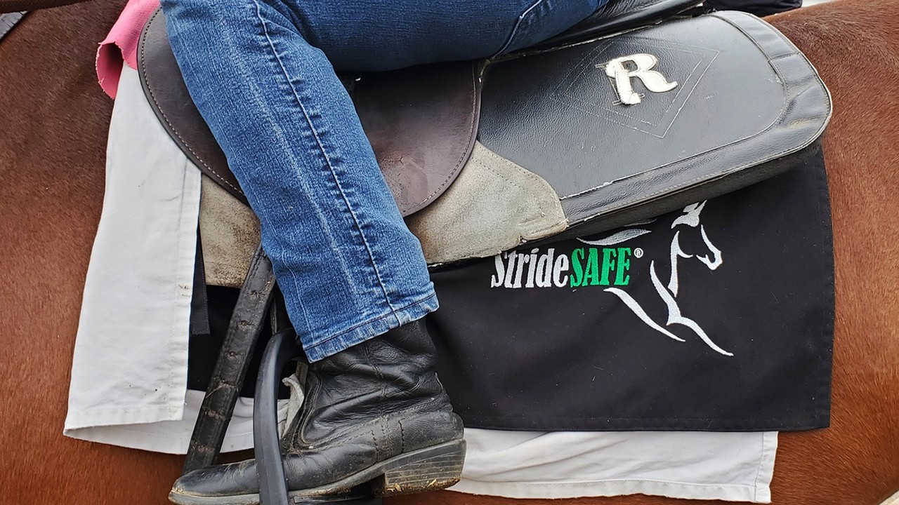 Unmatched Stridesafe Technology Identifies Horses At ... Image 1