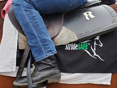 Unmatched Stridesafe Technology Identifies Horses At ... Image 1