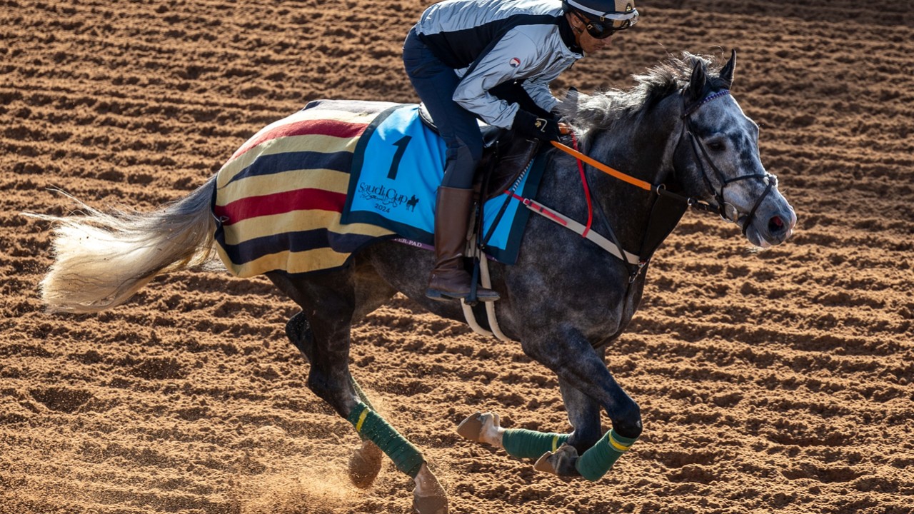 Desert Star Shines In Bahrain Feature Image 1