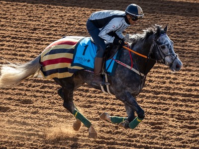 Desert Star Shines In Bahrain Feature Image 1