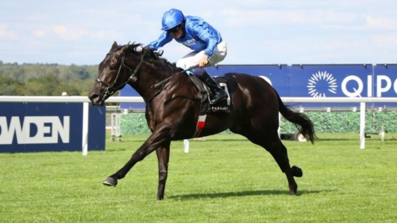Al Qudra Claims Al Rayyan Mile Glory Image 1