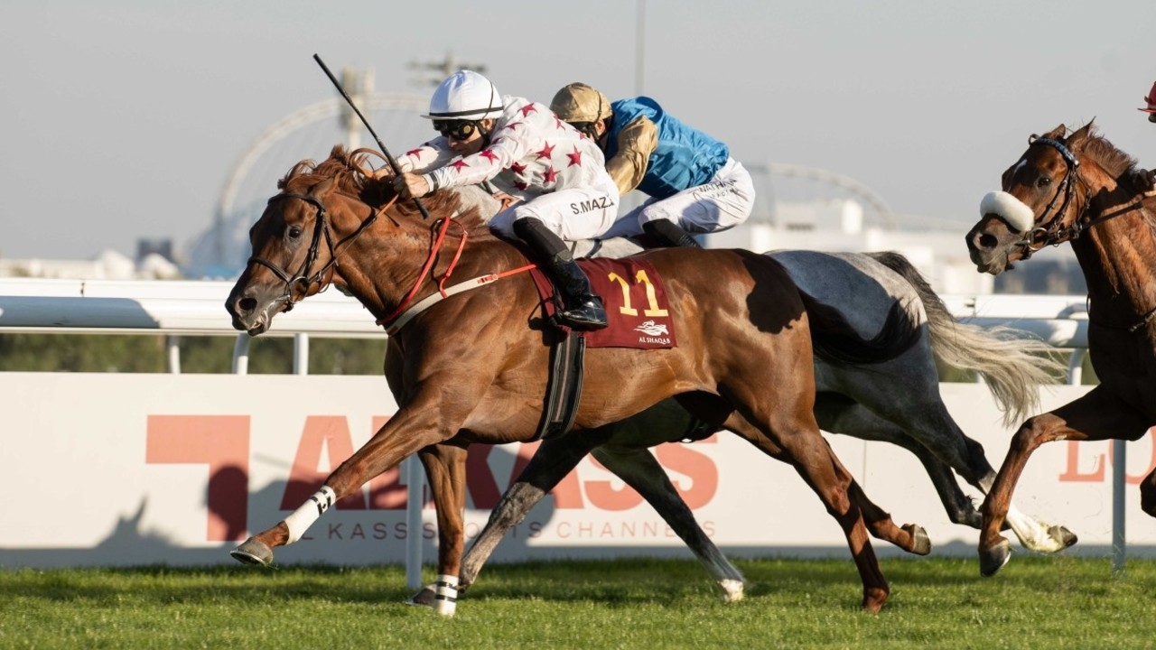 Al Jeryan's Aafoor Powers to Amir Shalfa Success Image 1