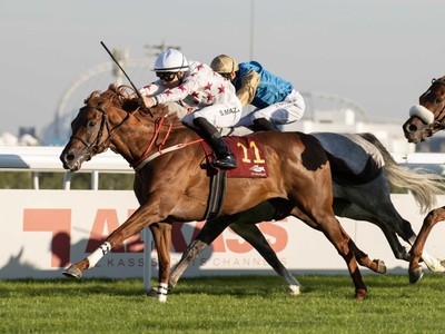 Al Jeryan's Aafoor Powers to Amir Shalfa Success Image 1