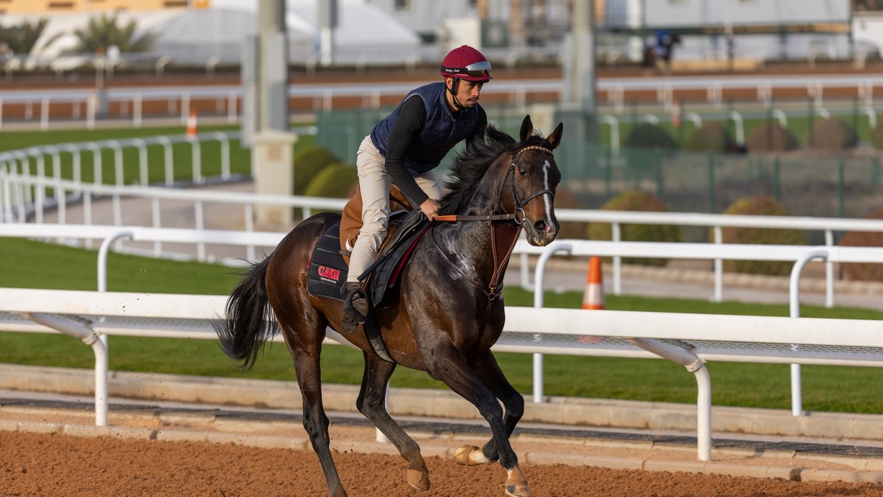 Spanish Ace Aims For Middle East Glory Image 1