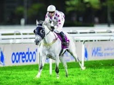 Balzac Powers To Second Rayyan Success. (H.H Amir Sword ...