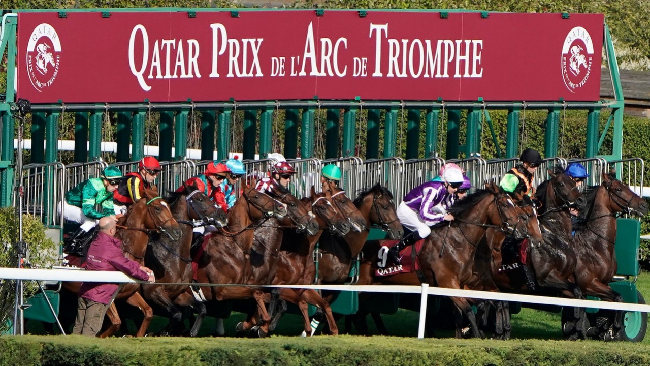 Arc Stays Closed To Geldings In 2025 Image 1