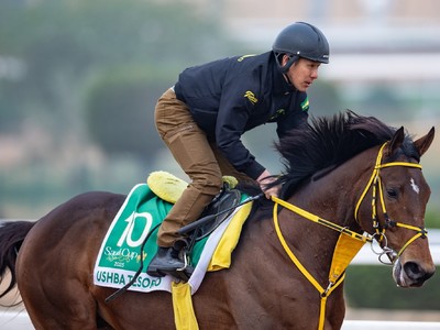 International Stars Gather For Saudi Riches Image 1