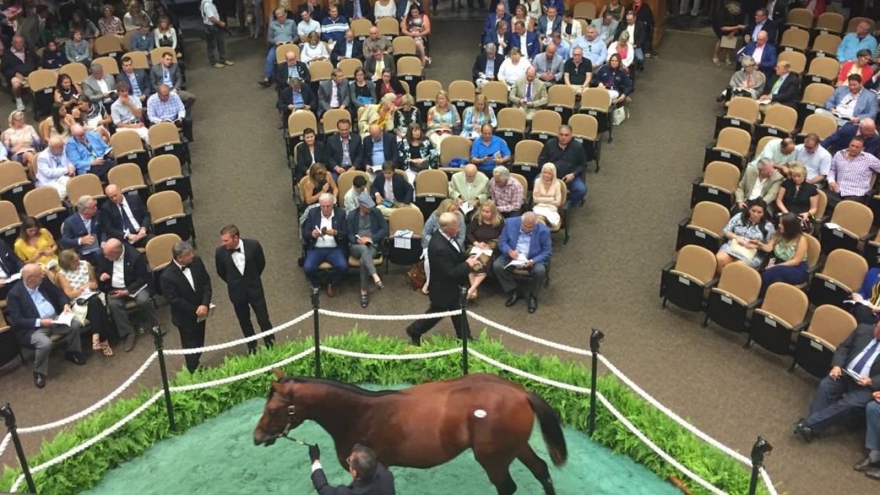 Fasig-Tipton Expands Saudi Cup Turnout Awards Image 1