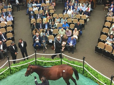 Fasig-Tipton Expands Saudi Cup Turnout Awards