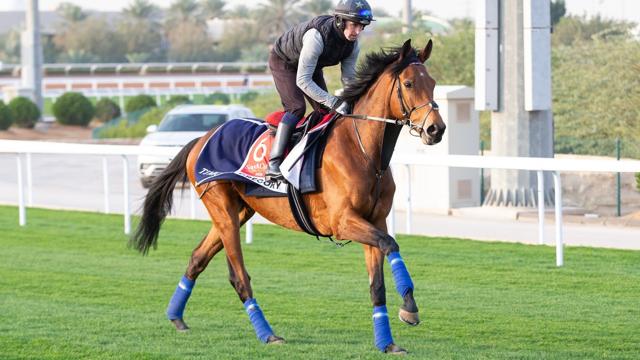 Gosden Upbeat As Gregory Readies For Saudi Mission Image 1