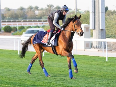 Gosden Upbeat As Gregory Readies For Saudi Mission Image 1