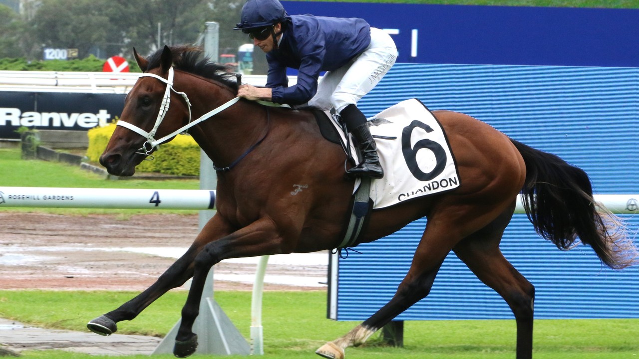 Stars Align For Golden Slipper Showdown Image 1