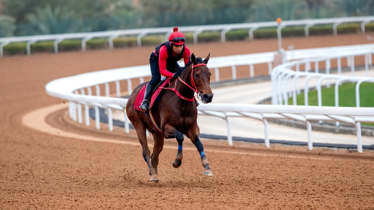 Shum's Warrior Ready For Saudi Dirt Test Image 1