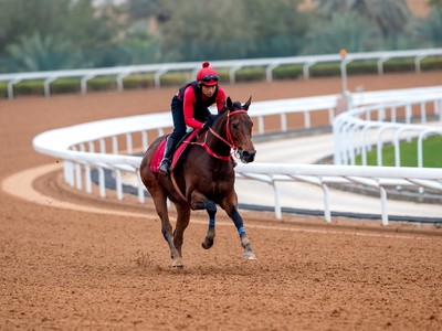Shum's Warrior Ready For Saudi Dirt Test Image 1