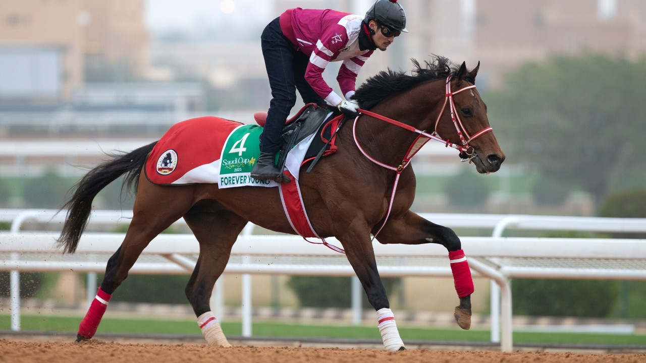 Japanese Star In Saudi Cup Spotlight After Derby Win Image 1