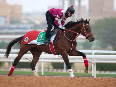 Japanese Star In Saudi Cup Spotlight After Derby Win Image 1