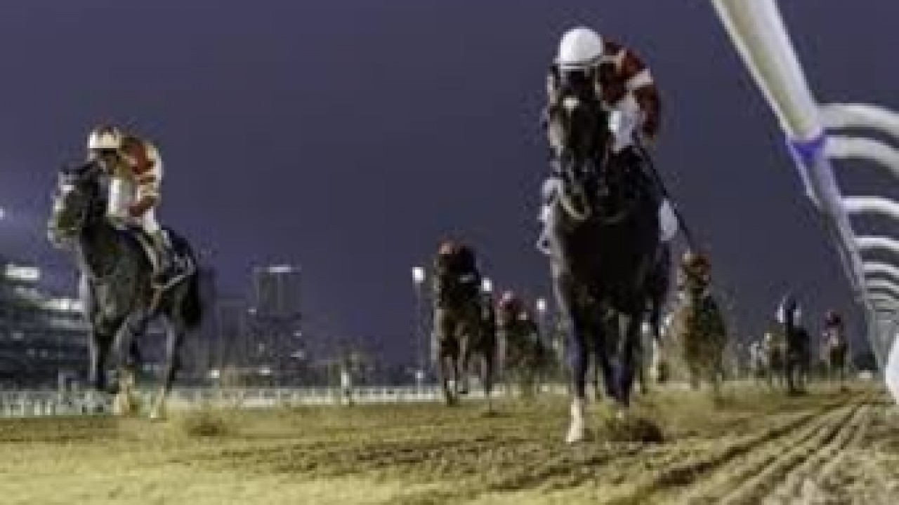 Golden Vekoma Triumphs in Saudi Derby Thriller Image 1