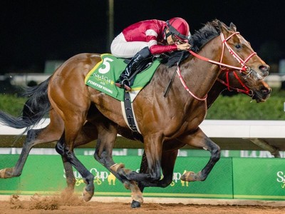 Forever Young Beats Romantic Warrior To Claim Historic ... Image 1