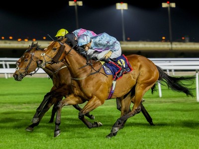 Dragon Shows Star Quality In Bahrain Series Image 1