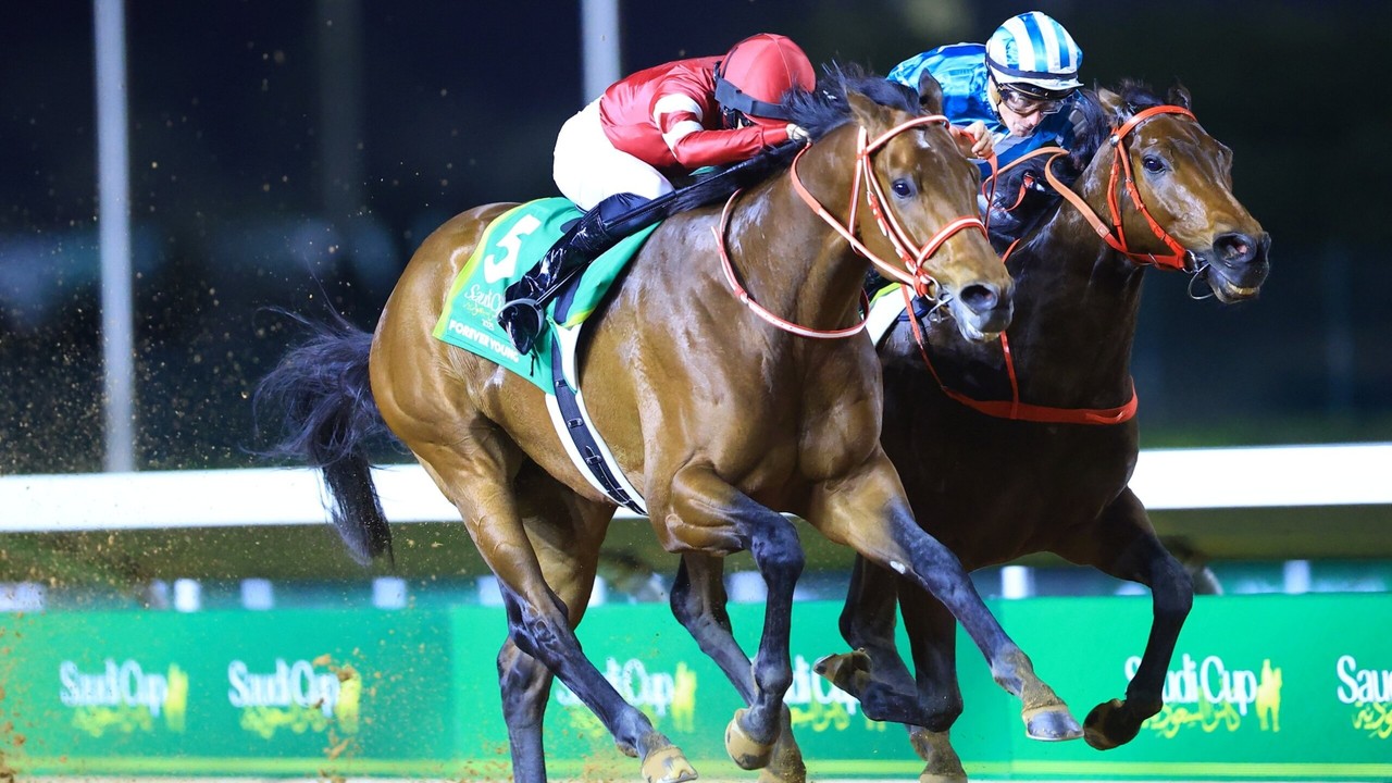 Romantic Warrior Sets Sights On Dubai Turf After Saudi Image 1