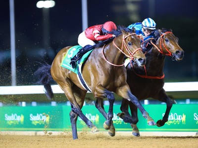 Romantic Warrior Sets Sights On Dubai Turf After Saudi Image 1