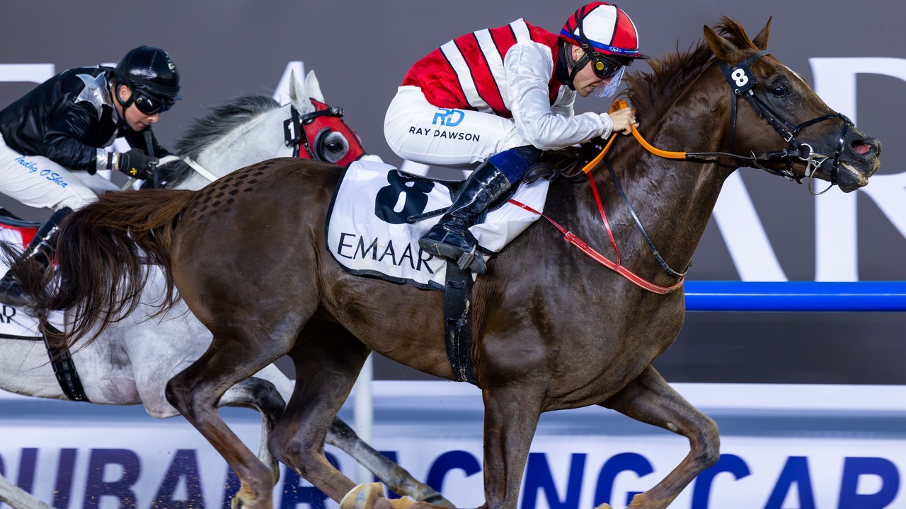 Mubeed Claims Victory in Al Maktoum Challenge Round 3: A ... Image 1