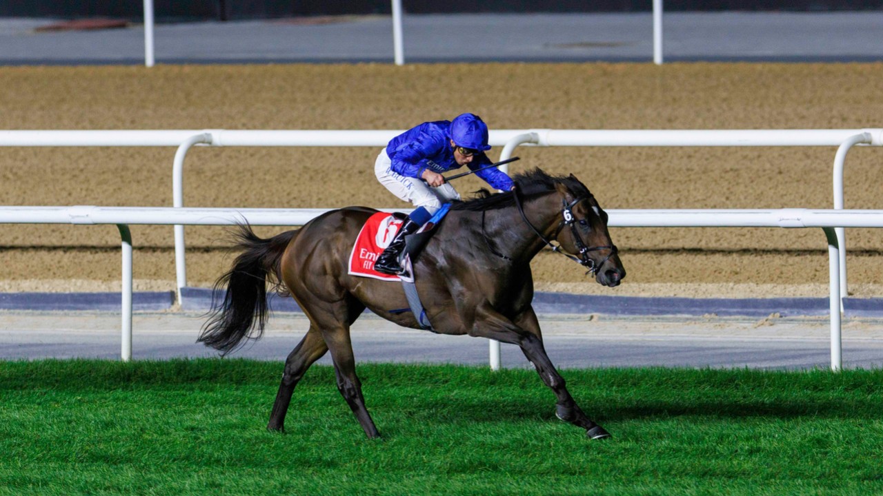 Silver Knott Delivers Commanding Victory Dubai City of Gold Image 1