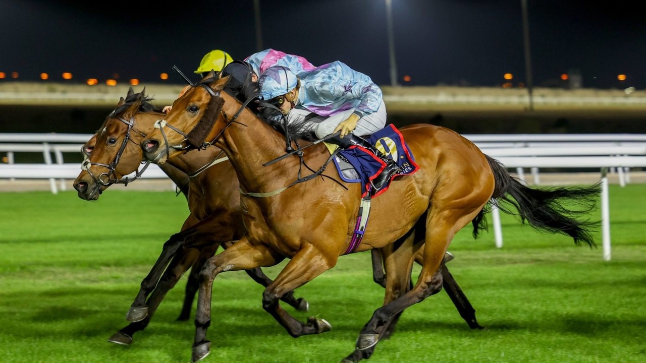 Roman Dragon Chasing Bahrain Series Glory Image 1