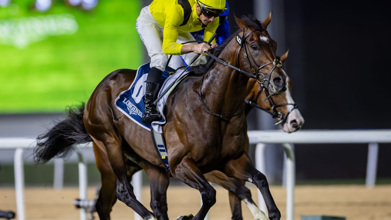 Rematch Set For Meydan Thriller Image 1