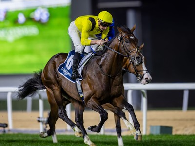 Rematch Set For Meydan Thriller Image 1